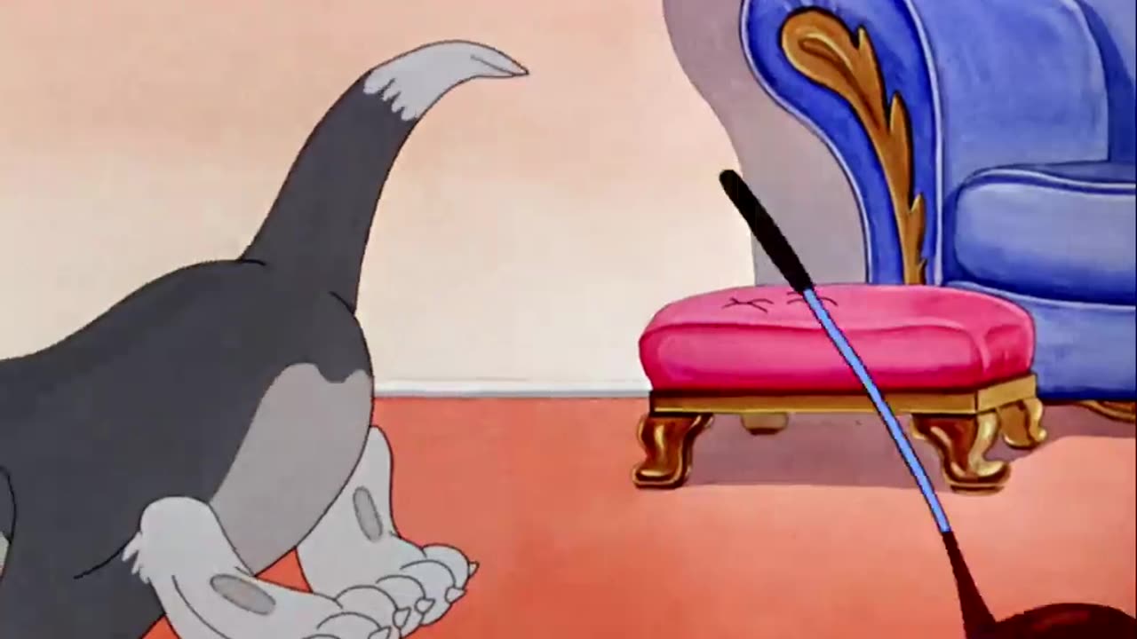 TOM&jerry cartoon the tom and jerry cartoon and beutifull and and very good comeday thanku