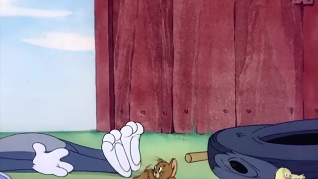 Tom and jerry