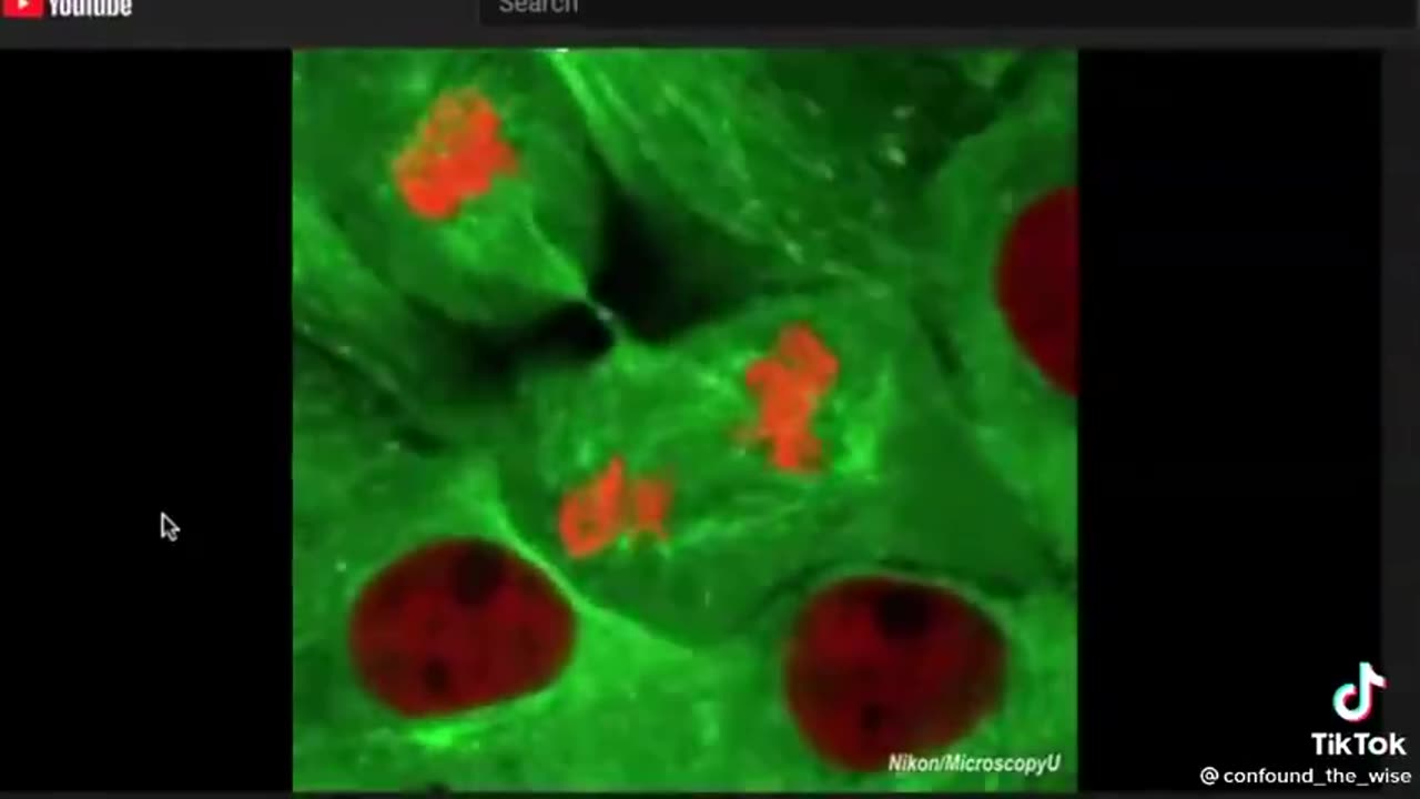 Breath of life from our Creator Caught on tape Real miracles
