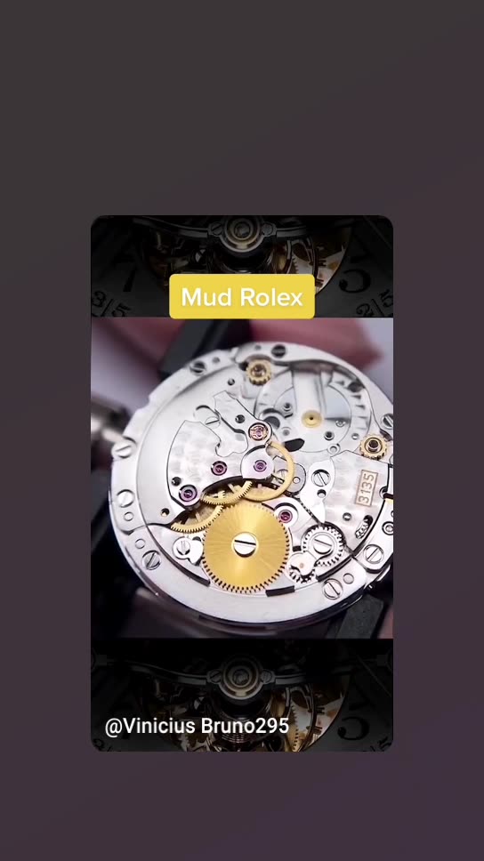 Recovering ROLEX watch that was in the mud for days...