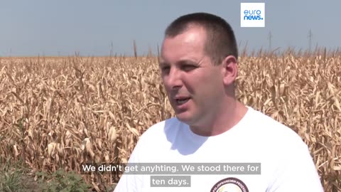 Farmers call for government actions as severe drought in Serbia forces early harvests