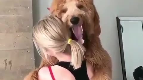Funny animal videos|Cute animal videos |Funny dog&cat videos|Hilarious pet videos|Funny video