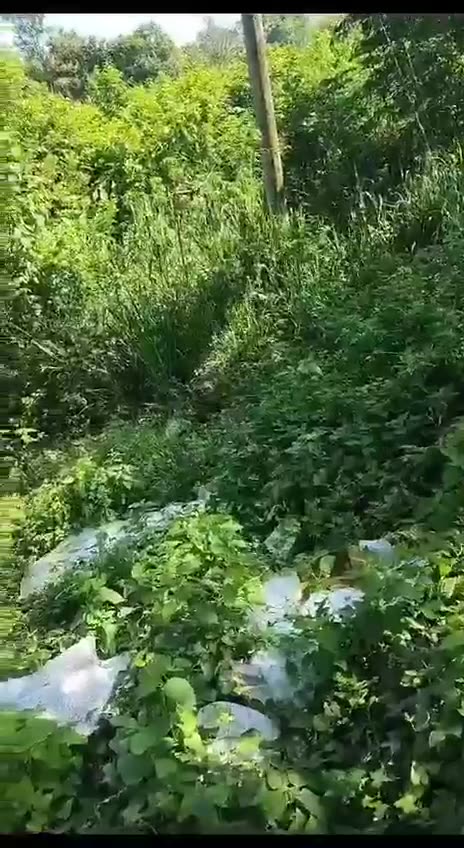 “Parecían muy elegantes y me robaron el taxi”: buscan vehículo en Cartagena