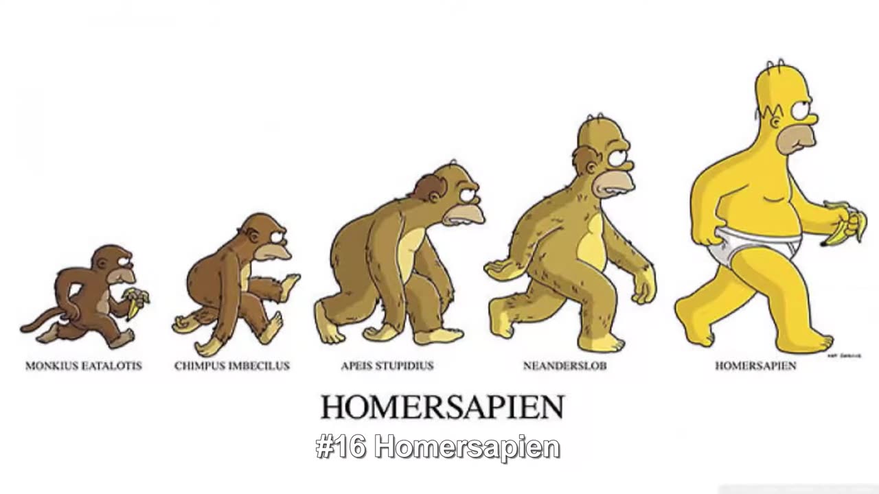 Satirical Evolution Cartoons That Will Make You Laugh Out