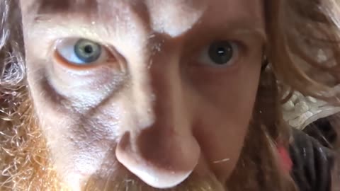 2023-04-22 (5) - Rangement voiture - Twitch Meutemediatique