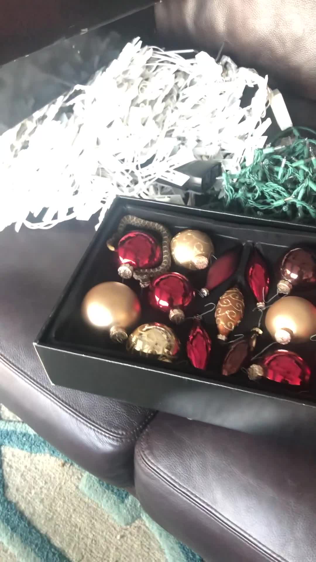 Close Call with Baby Rattlesnake Found in Christmas Decorations