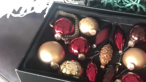 Close Call with Baby Rattlesnake Found in Christmas Decorations