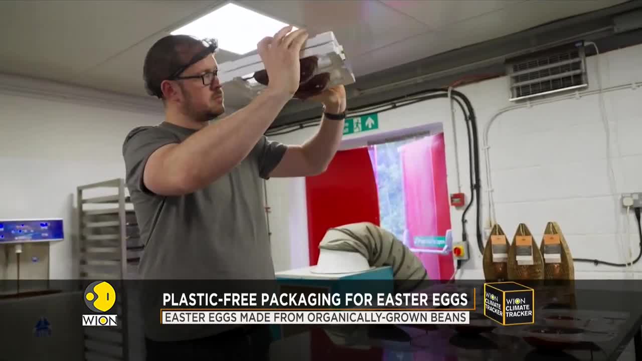 Chocolate making with a difference, Easter eggs made from organically-grown bean
