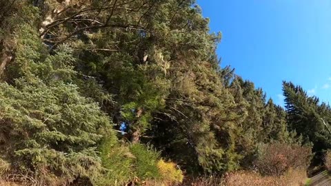 My First Video with the GoPro Head Mount in Tenakee Springs Alaska!