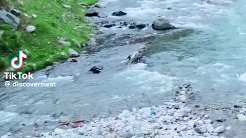 Beauty of Pakistan