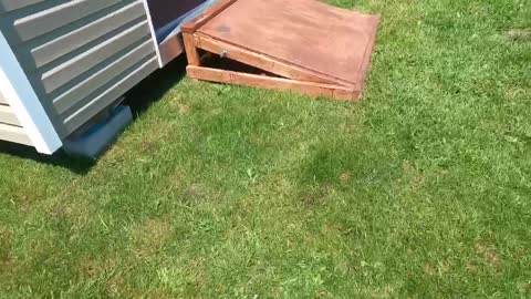 Changing the air filter on a Honda lawn mower