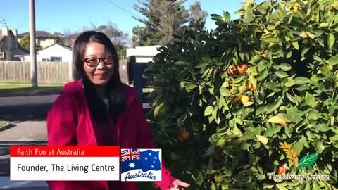 Organic Farm Singapore | Thelivingcentre.sg