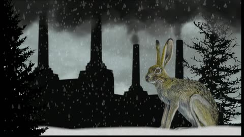Sarah Blasko - Explain (1080p Music Video & interview) [2006]