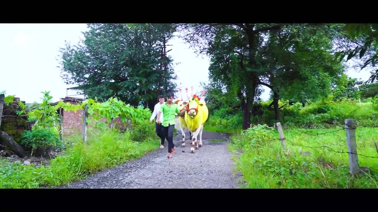 Bailpola best video 2020 _ Bhugaon Bailpola _ Rutik Chondhe (savkar) _ Nad Ninad