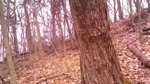 Sundayscape Clips : Rising Park Pt 3