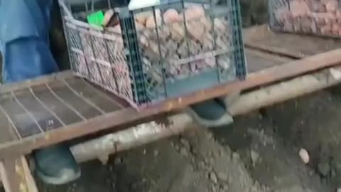 Very important video