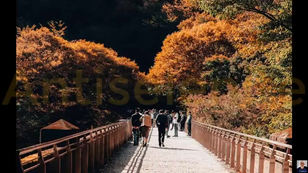 Antiselenite - Explorers' Guide To Scifi World - Clif High