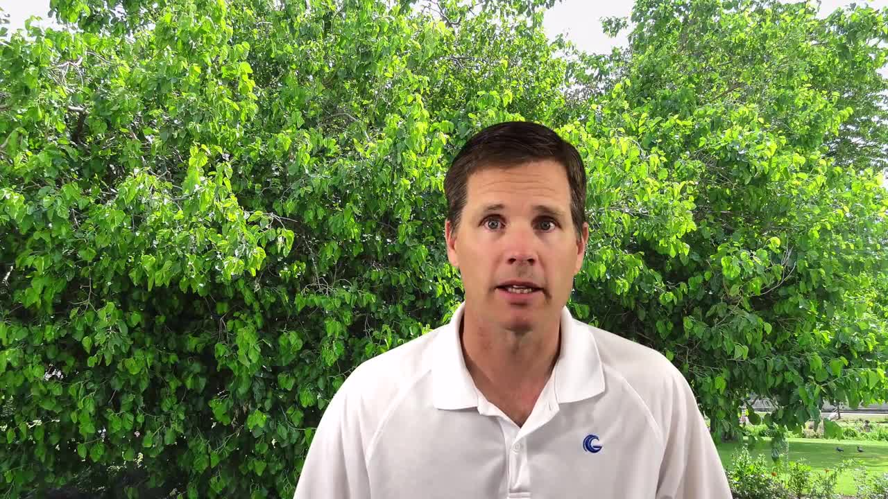 David and the Mulberry Trees