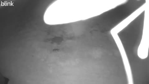 Huge ET