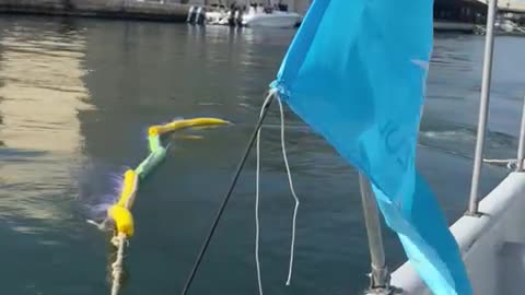 Video: Piloto para limpiar la bahía de Cartagena