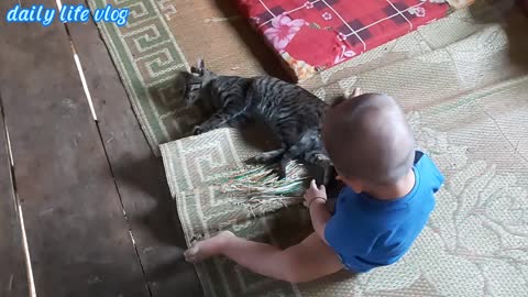 Baby playing with cats | daily life vlog
