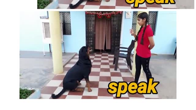 How to defend against the a dog attack, dog training