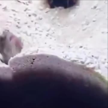 Take that. Oh yeah. Take that!! 😂😂