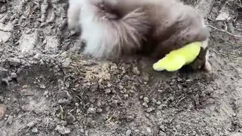 Can you so cute