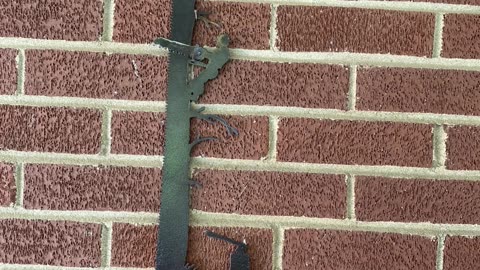 Tree Saw