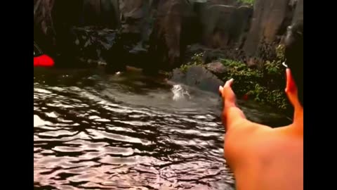 Incredible Heroic Rescue: Father-Daughter Duo Saved from Potential Disaster in Indore 🚗🌊👏"