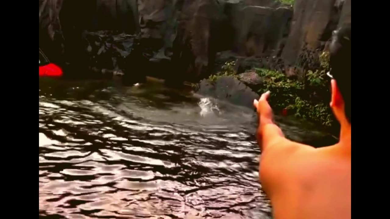 Incredible Heroic Rescue: Father-Daughter Duo Saved from Potential Disaster in Indore 🚗🌊👏"