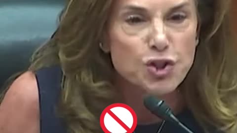 Pt 6 Congresswoman Lisa McClain questions Secret Service Director Kimberly Cheatle. #politics #news