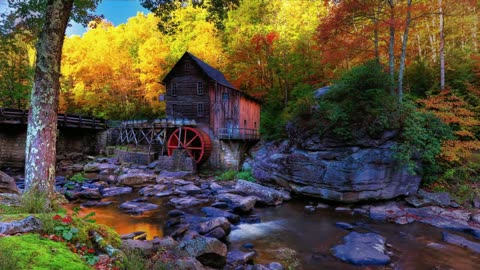 Forest | Nature | Waterfalls | HD Video