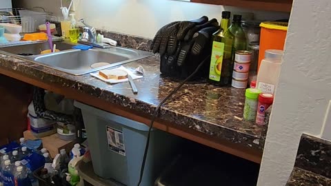 Vegemite Challenge from Gold Nugget Sales
