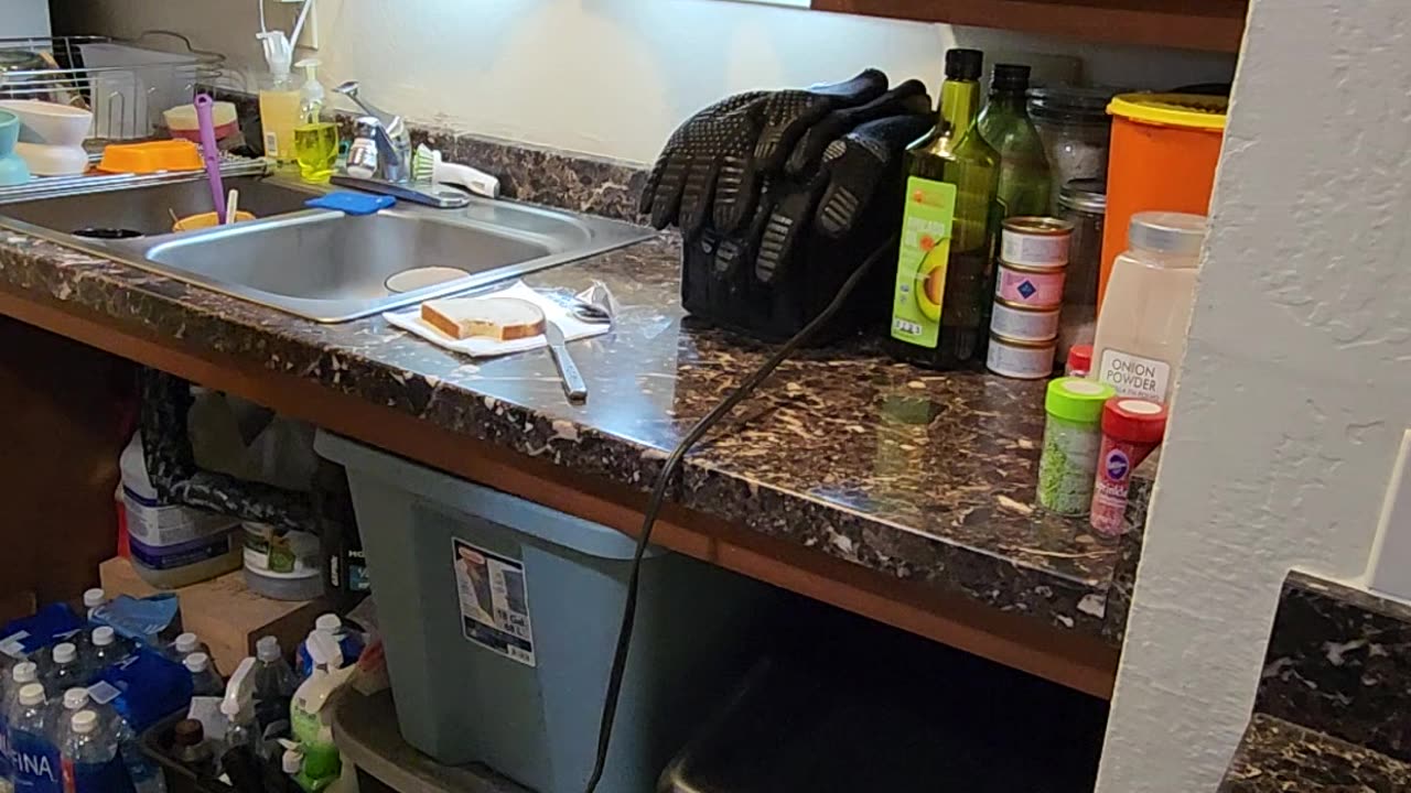 Vegemite Challenge from Gold Nugget Sales
