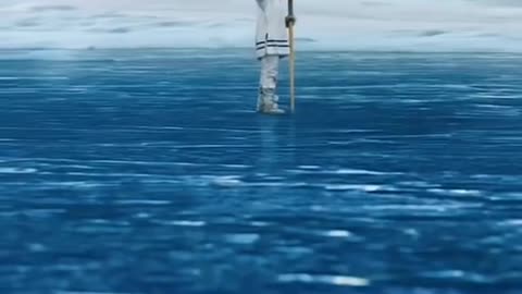 CALL OF THE WILD