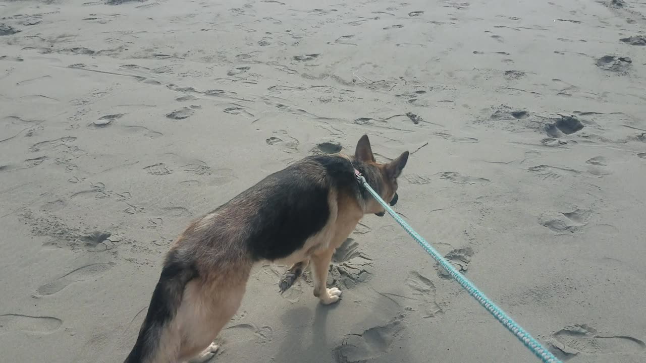 The Jetty at Ocean Shores