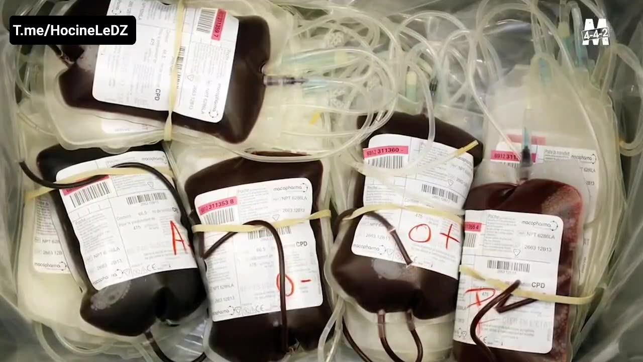 «Laurent Fabius a revendu les poches de sang contaminées par le virus du SIDA aux pays Africains»