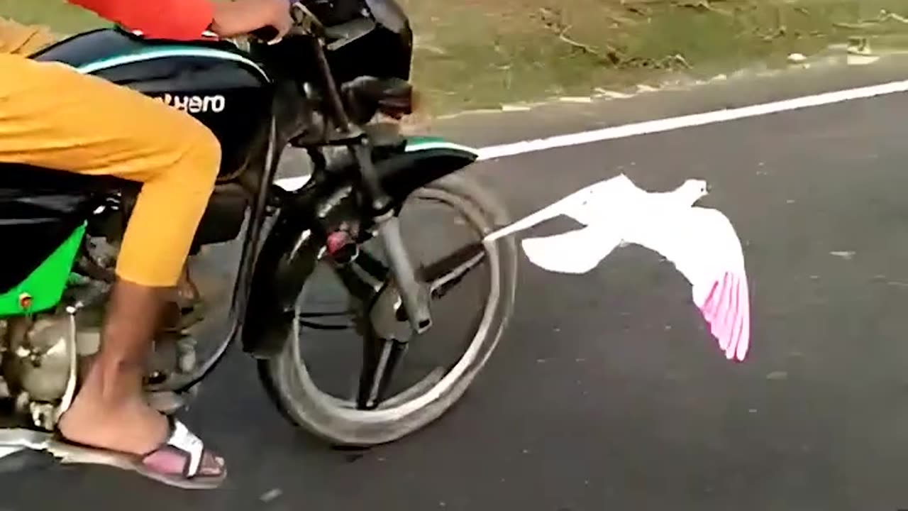 Bird Takes a Liking to Motor Biker