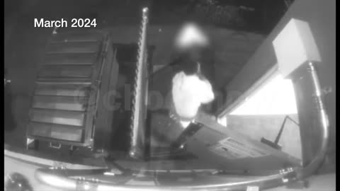 WARNING GRAPHIC: I've obtained surveillance video showing the horrific death of Alisia