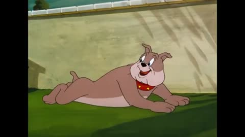 Tom & Jerry | Classic Cartoon Compilation