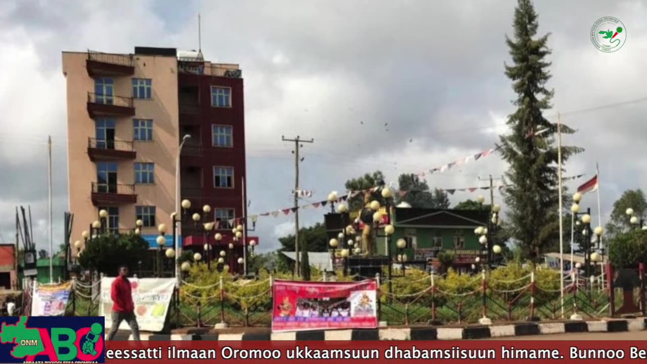 Oduu Waaree ONM-ABO Amajjii 13, 2024