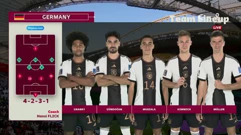 Germany vs Japan Highlights Goals