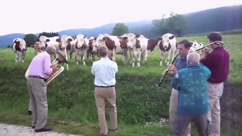 ANIMALS and POWER of MUSIC