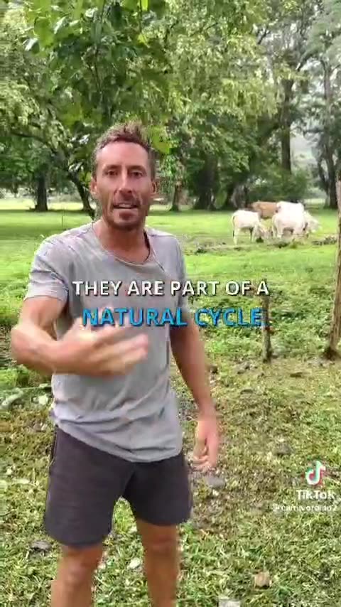 Methane from cows are part of a natural carbon cycle