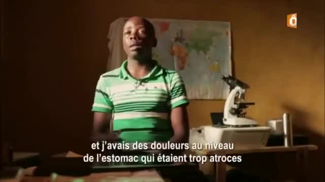 Pourquoi l'artémésia est interdite