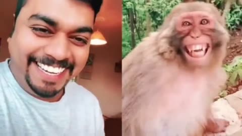 Troll Prank Dog Funny & fake Lion and Fake Tiger Prank To dog & Huge Box Prank to dog- part 3