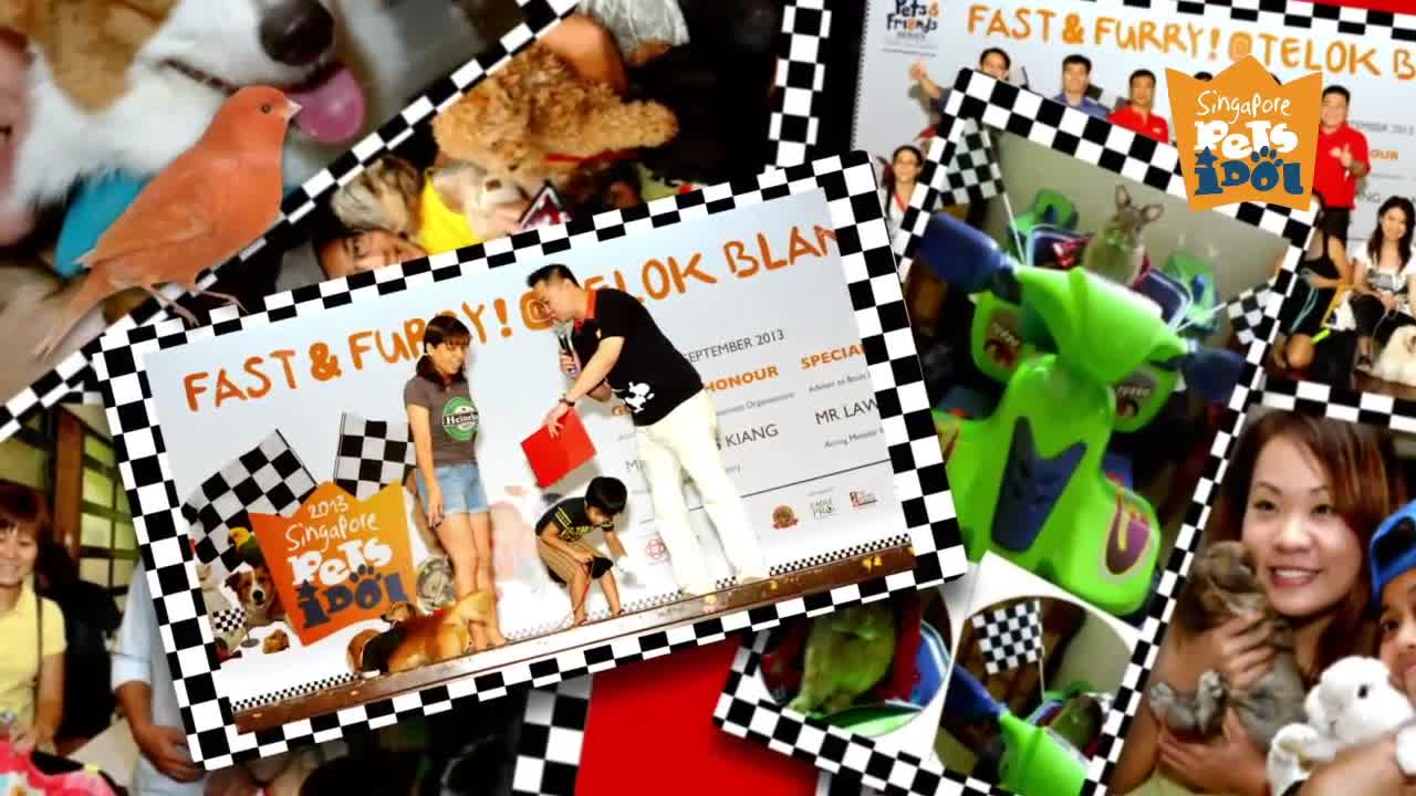 Singapore Pets Idol @ Telok Blangah