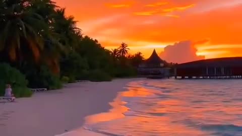 Peacefull Life Beach View