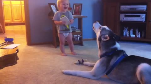 Baby and Husky, Deep in Conversation